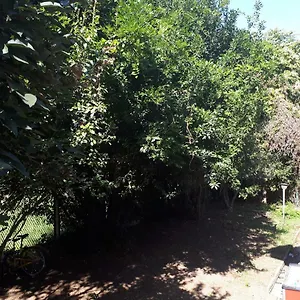 La Casa Di Mango E Pistacchio Segrate